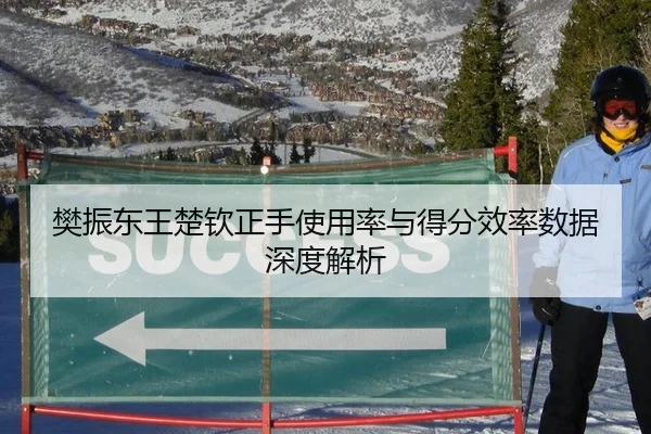 樊振东王楚钦正手使用率与得分效率数据深度解析