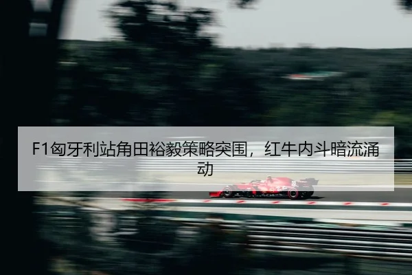 xiong-ya-li-zhan-jiao-tian-yu-yi-ce-lve-tu-wei-hong-niu-nei-dou-an-liu-yong-dong-2-502.jpg