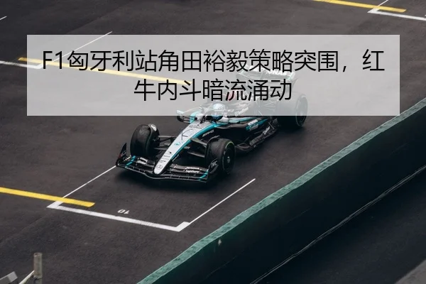 xiong-ya-li-zhan-jiao-tian-yu-yi-ce-lve-tu-wei-hong-niu-nei-dou-an-liu-yong-dong-3-637.jpg