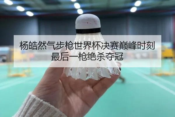 杨皓然气步枪世界杯决赛巅峰时刻 最后一枪绝杀夺冠
