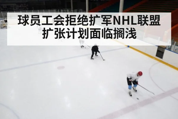 球员工会拒绝扩军NHL联盟扩张计划面临搁浅